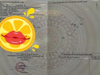 Tam hưng - Thanh oai 91m - đường ô tô tránh -100m ra ubnd , trường học và Vin giá đầu tư