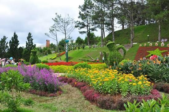 Bán đất tại đường trần anh tông, phường 8, đà lạt, lâm đồng, 16 tỷ, 227 m2, uy tín chỉ với