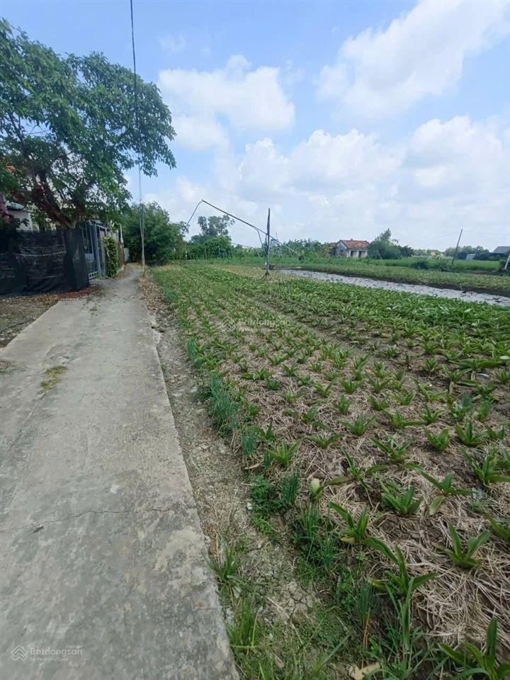 Bán miếng đất có thổ cư đầu tư giá rẻ hưng long, bình chánh