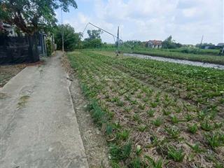 Bán miếng đất có thổ cư đầu tư giá rẻ hưng long, bình chánh