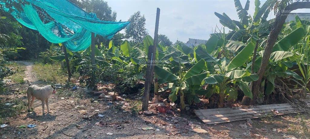 Bán 3 nền đất thổ cư gần cầu ông thìn bình chánh