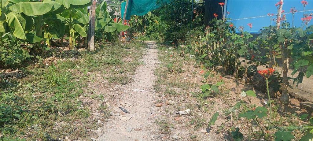 Bán 3 nền đất thổ cư gần cầu ông thìn bình chánh