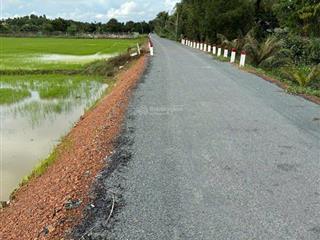 Bán lô đất nông nghiệp giá rẻ tân nhựt, bình chánh