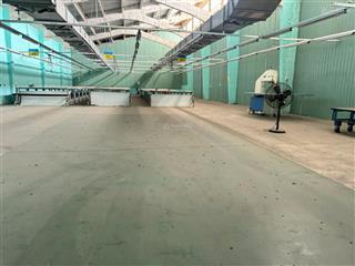 Cho thuê kho 300 m2, đẹp & kiên cố, mt đường rộng 12m đặng thùy trâm rộng 12m, bình thạnh