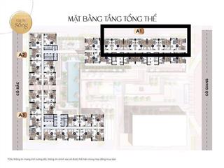 Căn hộ tại grand manhattan quận 1 vị trí vàng giá ưu đãi thanh toán = 4,8 tỷ thanh toán trước