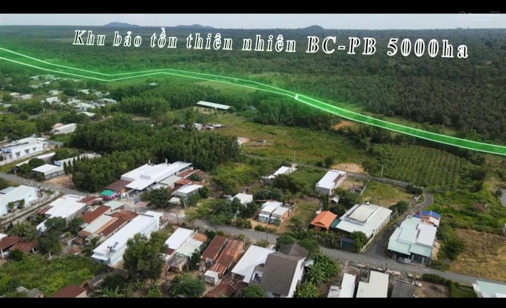 Lô đất 2 mặt tiền, 25x60m sẵn 300m2 thổ cư, cách nút giao cao tốc hồ tràm  long thành 399 m