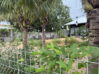 Bán đất xã hồ tràm dt 542m2 có 80m2 thổ cư view ruộng (cánh đồng ) ngang 17.8mx30m kế bên homestay