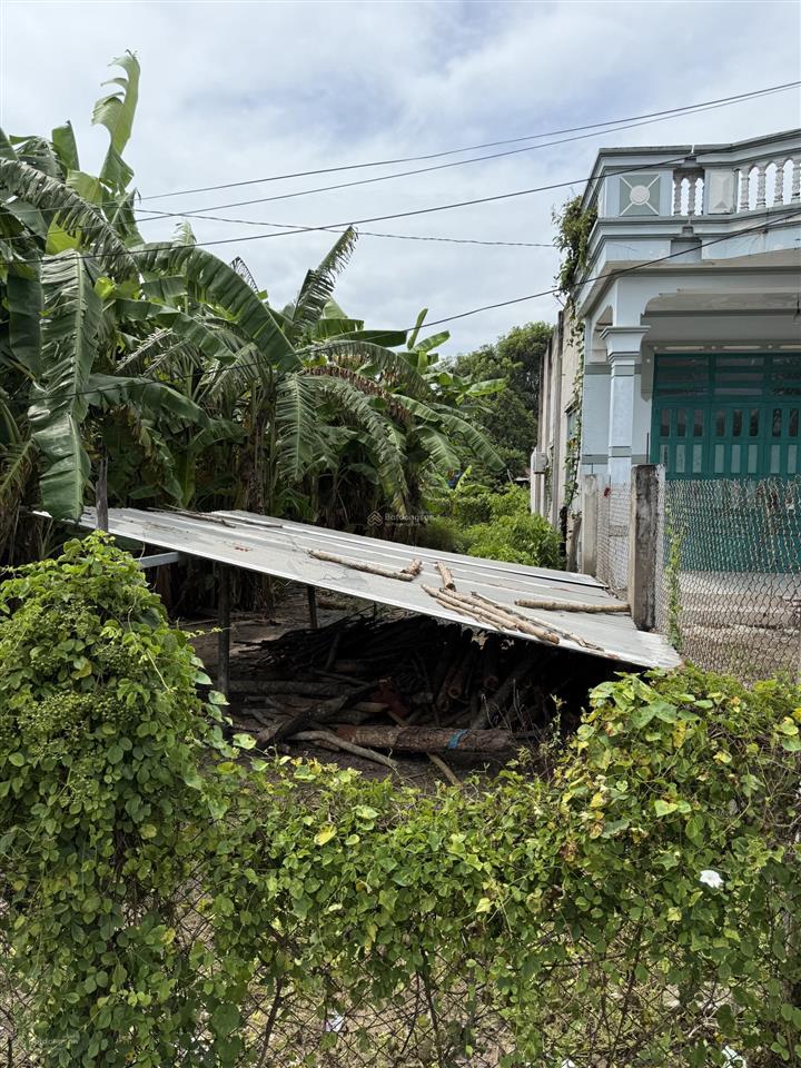 Bán đất bưng riềng ấp 3 ngang 6mx40m có 60m2 thổ cư, gần rừng gần biển, khí hậu mát mẻ, khu dân cư