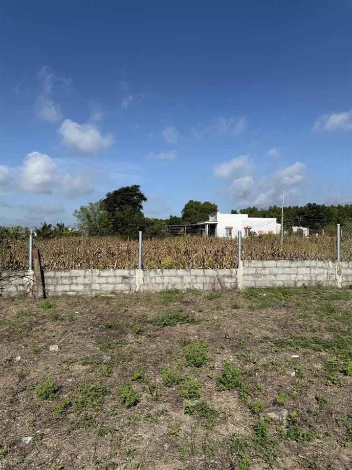 Bán đất bình châu dt 1500m2 có 150m2 thổ cư, view ruộng lúa, đường nhựa, thích hợp làm nhà vườn