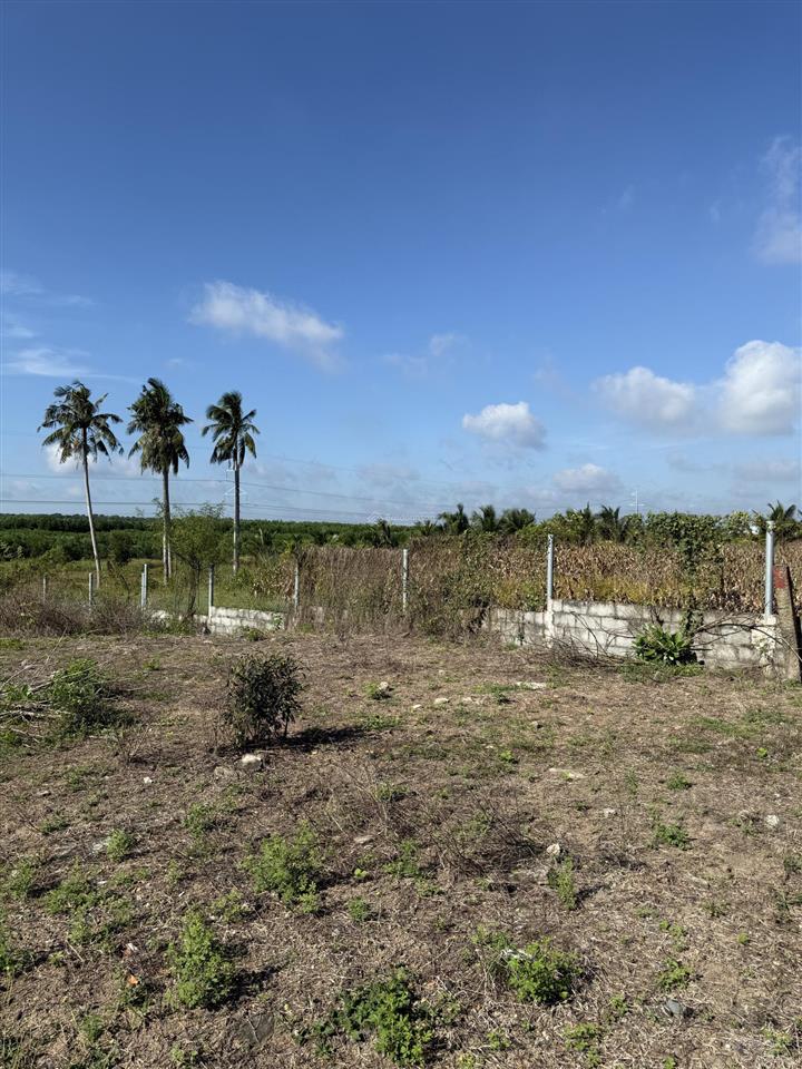 Bán đất bình châu dt 1500m2 có 150m2 thổ cư, view ruộng lúa, đường nhựa, thích hợp làm nhà vườn