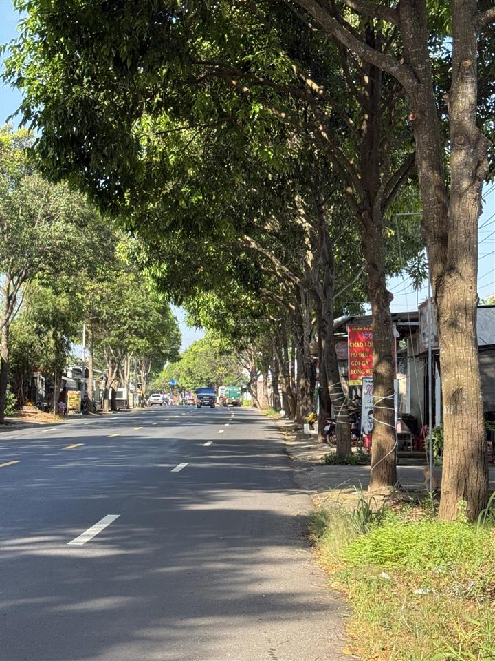 Bán đất mặt tiền quốc lộ 55 xã bưng riềng ngang 10.6mx60m có 100m2 thổ cư, gần trường học cấp 2.3