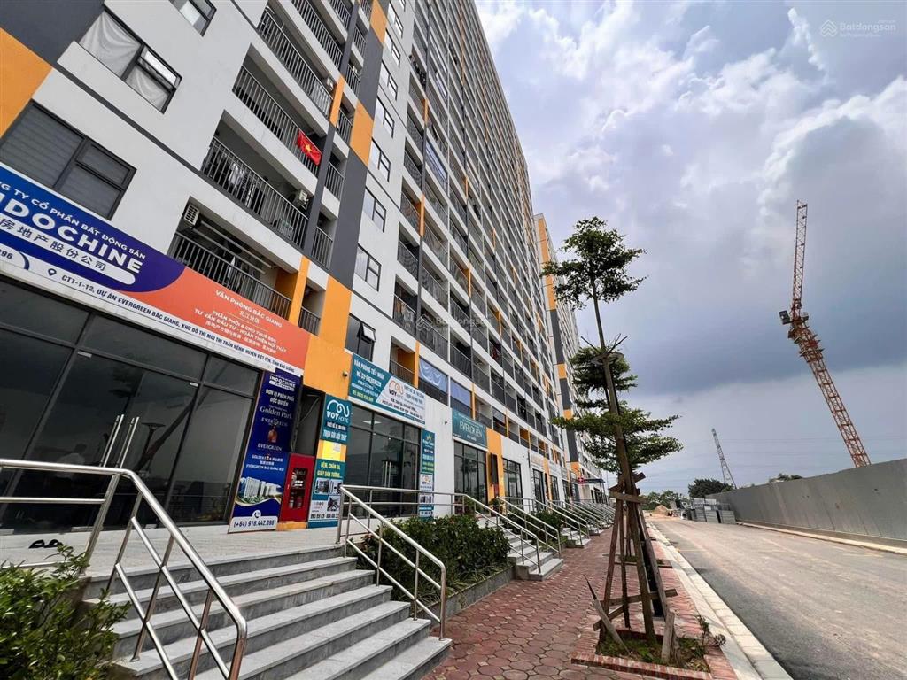 Hot! quỹ căn hộ thương mại g4, ct2.1, ct3.3 dự án evergreen bắc giang, sổ đỏ lâu dài