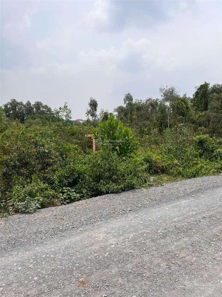 Bán 1046.6m2 đất xã thái mỹ, củ chi. đất đẹp, vuông vắn, giá tốt nhất khu vực,  0944 874 ***