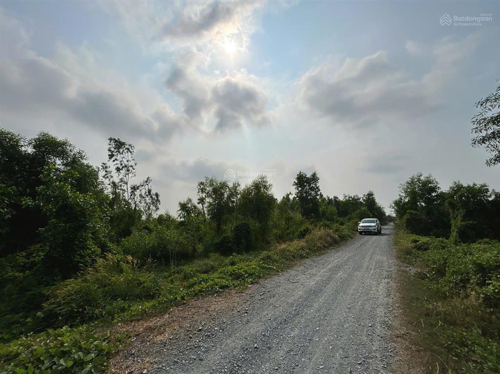 Chính chủ cần bán 3 lô đất đẹp xã thái mỹ, huyện củ chi. đất vuông vắn, đường ô tô vào tận nơi