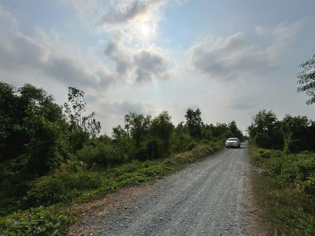 Chính chủ cần bán 3 lô đất đẹp xã thái mỹ, huyện củ chi. đất vuông vắn, đường ô tô vào tận nơi