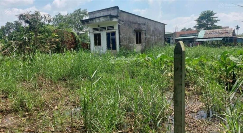 Hóc môn bán đất 395.2m2 xã xuân thới sơn, hóc môn, giá mới siêu ngộp đã cắt lỗ 7ty