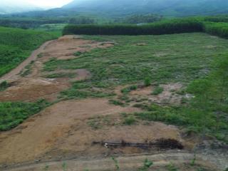 Bán đất vườn 10.000m² sổ đỏ sẵn mua bán công chứng nhanh hòa phú, hòa vang, đà nẵng