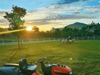 Cần bán 2500m2 lô đất trồng cây lâu năm 650tr làm vườn, mua đầu tư sinh lời tốt rất rẻ đất đà nẵng