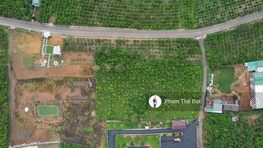 1500m2 qh full thổ cư đường trần quang khải. ra ql20 và r. đôi dép 600m, giá công khai 5,5tỷ all in