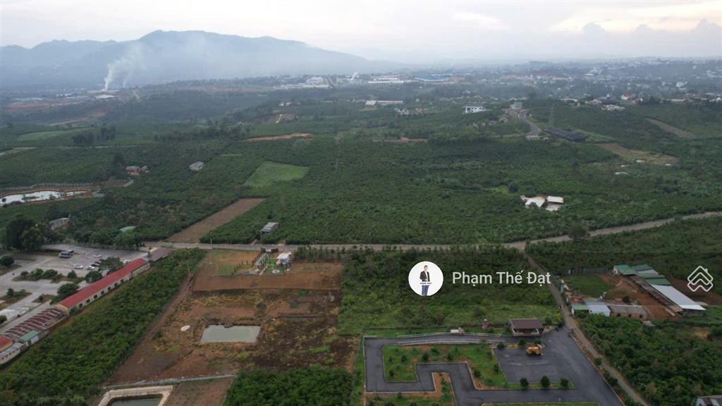 1500m2 qh full thổ cư đường trần quang khải. ra ql20 và r. đôi dép 600m, giá công khai 5,5tỷ all in