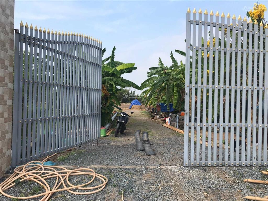 Chính chủ cần bán lô đất mặt tiền đường lê văn tưởng, xã hướng thọ phú, tp. tân an, tỉnh long an