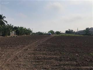 Chính chủ cần bán lô đất mặt tiền đường lê văn tưởng, xã hướng thọ phú, tp. tân an, tỉnh long an