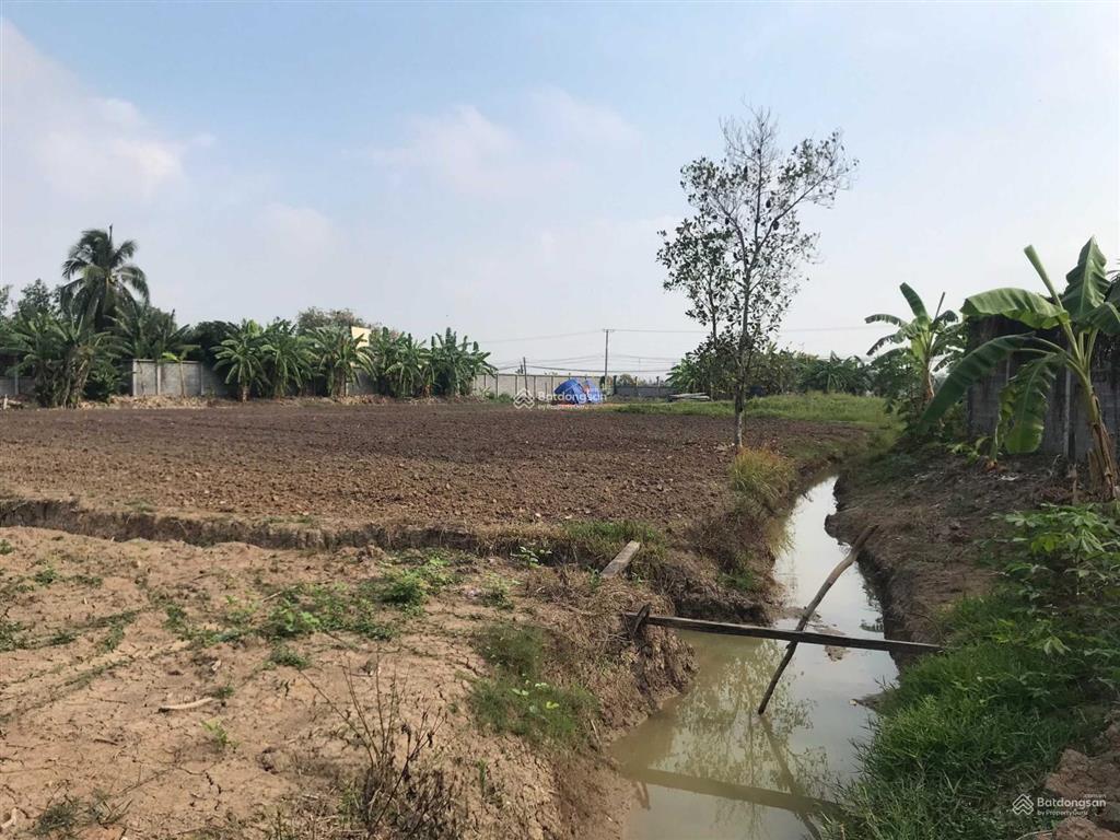 Chính chủ cần bán lô đất mặt tiền đường lê văn tưởng, xã hướng thọ phú, tp. tân an, tỉnh long an