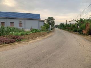 Bán gấp 3 lô liền đường nhựa to phù hợp kinh doanh, có bán lẻ chỉ 990tr/sổ thổ cư ngay kcn lớn