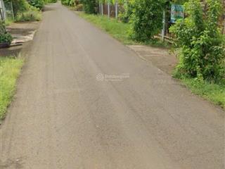 Bố mẹ lớn tuổi chia tài sản cho con cháu nên bán lô đất vườn ngay trung tâm long khanh, có bán lẻ