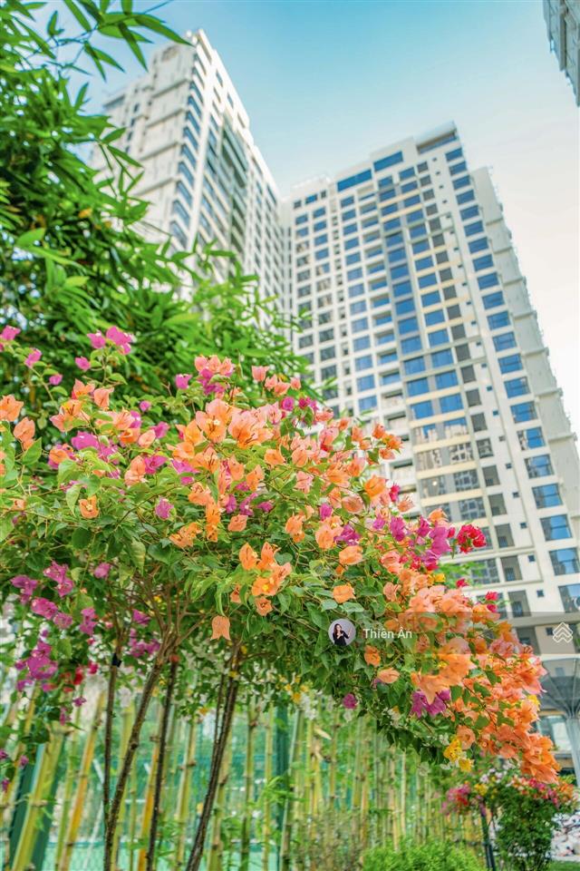 Sở hữu ngay căn hộ 2pn2wc 72m2 chỉ 4 tỷ 8 nội thất cao cấp như resort chỉ cách xách vali vào ở luôn