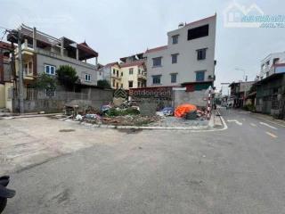 Hiếm lô góc đấu giá tàm xá, xuân canh sát vin cổ loa, vin tàm xá. giá đầu tư rẻ nhất thị trường
