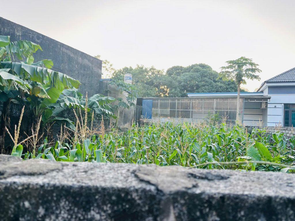 195M² THỔ CƯ  MẶT TIỀN 12M  NGAY CHỢ QUÁN TRẮNG, LIÊN SƠN, HÒA BÌNH HƠN 1 TỶ