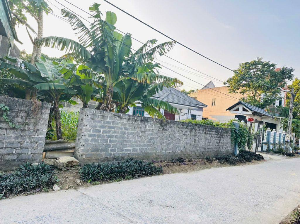 195M² THỔ CƯ  MẶT TIỀN 12M  NGAY CHỢ QUÁN TRẮNG, LIÊN SƠN, HÒA BÌNH HƠN 1 TỶ