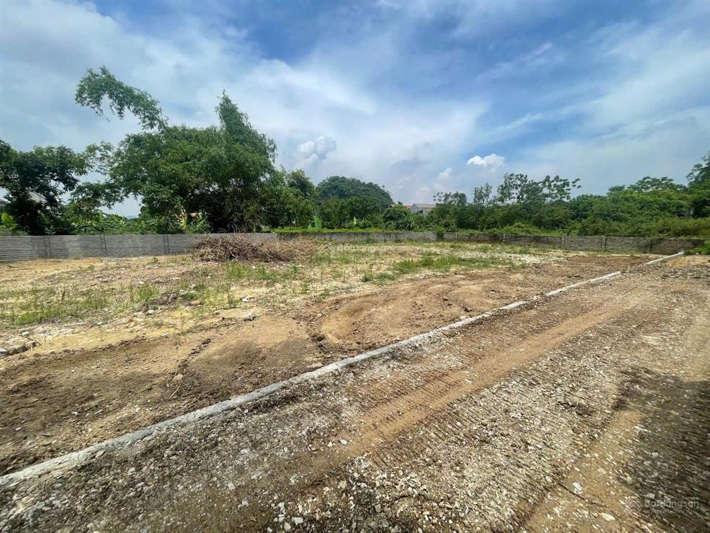 Hàng phân lô 1.100m mặt tiền 50m xuân linh, xuân mai, hà nội chỉ hơn 6 triệu