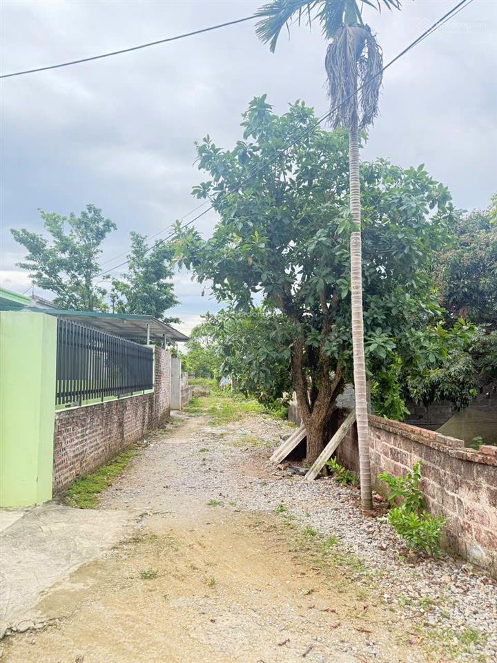 Hàng phân lô 1.100m mặt tiền 50m xuân linh, xuân mai, hà nội chỉ hơn 6 triệu