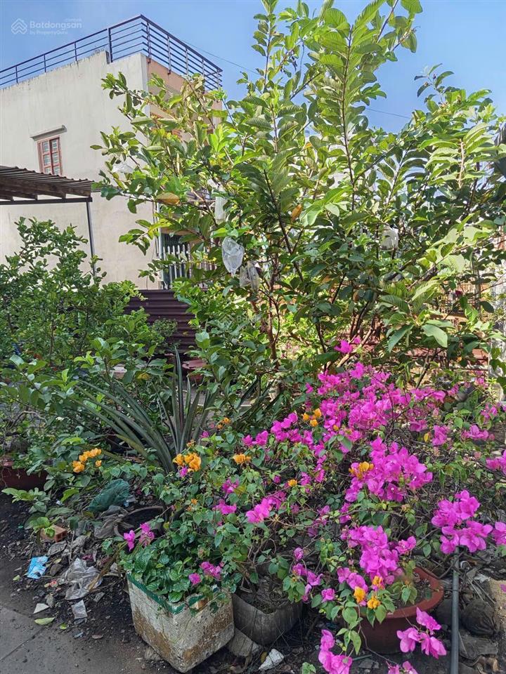 Bán đất tặng nhà hxt thông 30m ra mặt tiền vị trí đẹp  thông số chuẩn 8x35m  thổ cư