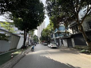 Bán bt siêu hot 190m2, 100 tỷ ở đtm dịch vọng, cầu giấy, hn