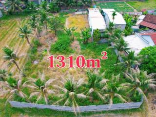 F0 3,2tr/m² diên phú 1310m² thổ cư ngang 20m hẻm ô tô hương lộ 45