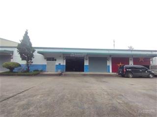 Cho thuê kho đường ba la, hà đông, hn. dt 450m2, xây dựng kiên cố, xe công đỗ cửa. giá 115k/m2/th
