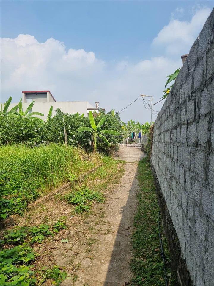 Cần bán cắt lỗ lô đất siêu đẹp vuông vắn dự án lớn xung quanh văn giang, giá chỉ 39,5tr/m2