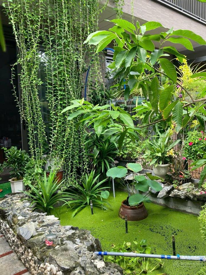 Cho thuê nhà phố vườn full nội thất khu rivera hướng đông nam, đường 16m giá rẻ 10tr/tháng