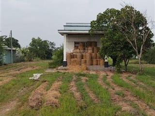 1935m2 full thổ cư mỹ yên sát bình chánh