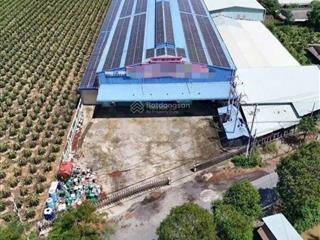 Nhà xưởng 6134m2 đất ( tmdv ) mặt tiền đường nguyễn thông, châu thành , long an, giá rẻ