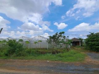 Hàng xây kho xưởng, nhà vườn sát bình chánh 3300m2