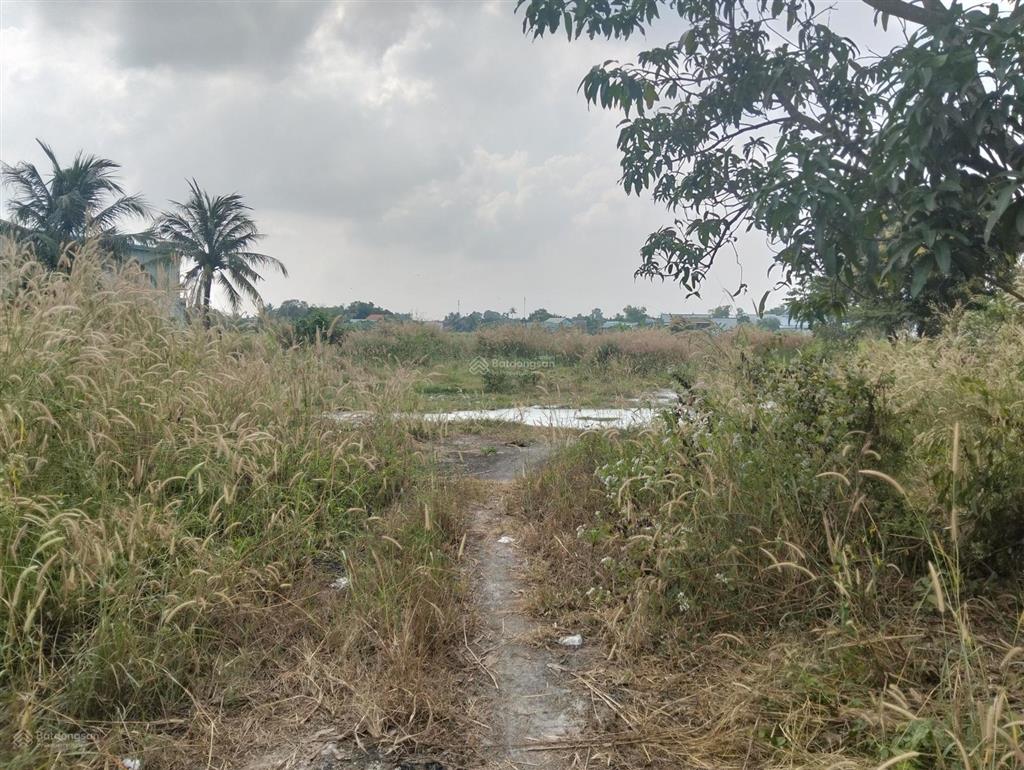 Hàng xây kho xưởng, nhà vườn 1950m2 có 1470 thổ cư gần chợ gò đen