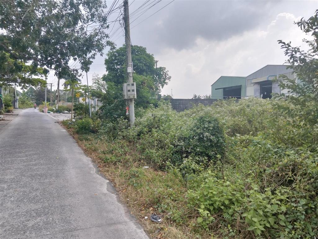 Hàng xây kho xưởng, nhà vườn 1950m2 có 1470 thổ cư gần chợ gò đen