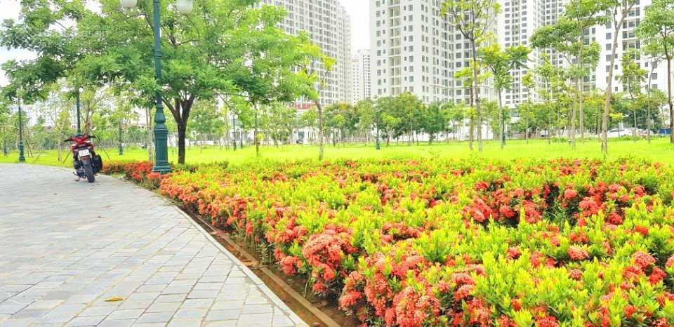 Cc bán căn hộ an bình city (căn góc) 3pn, 2wc, 2bc giá siêu rẻ.  0989 386 ***