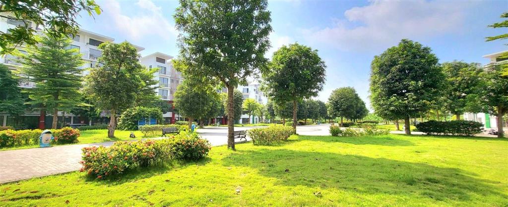 Cho thuê nhà phố khai sơn 93m2, mặt tiền rộng 6.2m, giá thuê 12triệu.  0989 386 ***