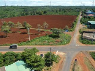 Bán gấp khu đất vàng góc 3 mt đường tránh thành phố pleiku 75.000m2, gồm 55 thửa nhỏ