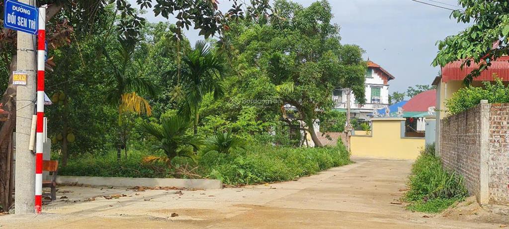 Chính chủ cần bán gấp lô đất 336m² đẹp tại đường đồi sen trì, xã bình yên, thạch thất, hn!